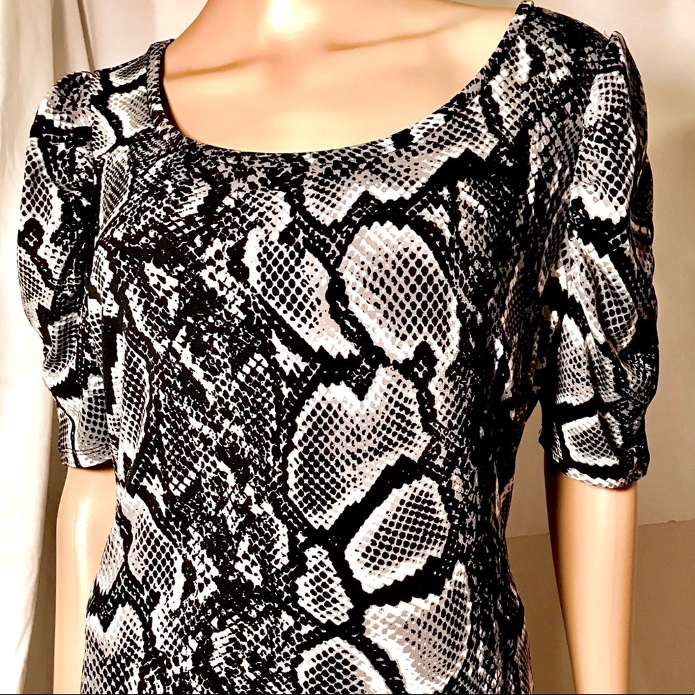 🔥BOGO🔥Worthington Black and White Python Pattern